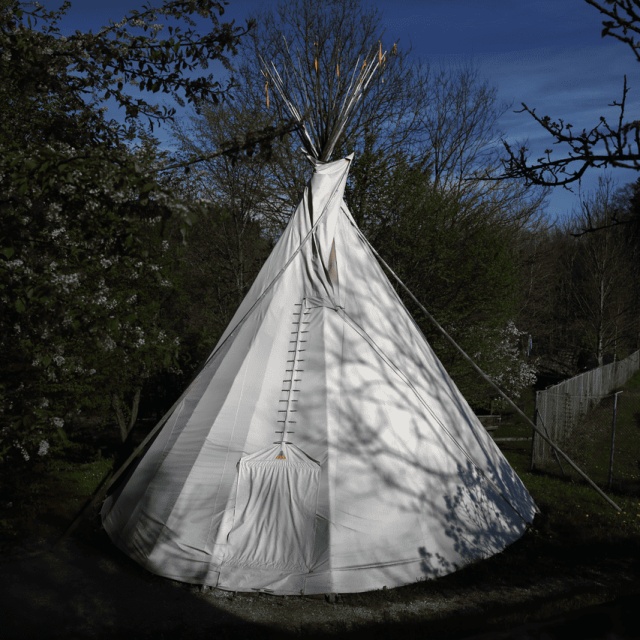Tipi