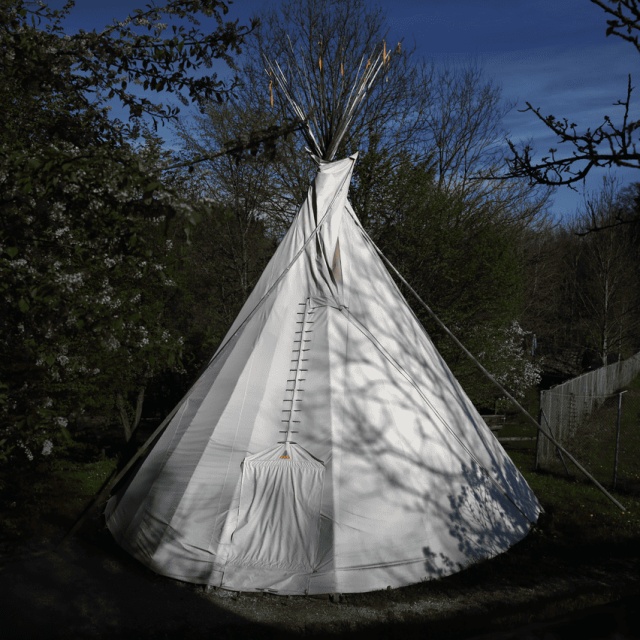 Tipi
